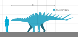השוואה של אלקובזאורוס לאדם