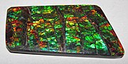 Thumbnail for File:Ammolite from Placenticeras fossil ammonite (Bearpaw Formation, Upper Cretaceous, 70-75 Ma; mine in St. Mary River Valley, Alberta, Canada) 4 (39534753470).jpg