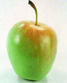 Анна Apple.jpg