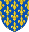 Escut d'armes Lluís VIII de França