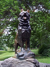 Balto Statue in Central Park