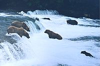 Národní park Katmai