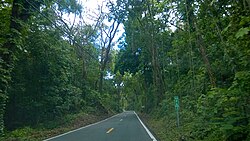 Puerto Rico Highway 146 in Cordillera