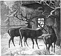 Die Gartenlaube (1869) b 823.jpg Weihnachten im Walde. Originalzeichnung von Guido Hammer
