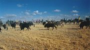 Miniatura para Encierros de Medina del Campo