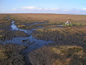 Featherbed Moss - geograph.org.uk - 245922.jpg
