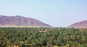Vue des monts des Ksour depuis l'oasis de Figuig au Maroc.