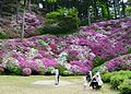 2015年5月4日 (月) 07:41時点における版のサムネイル