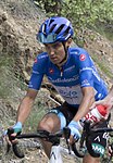 Julián Arredondo i Maglia azzurra under Giro d'Italia 2014.