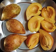 Garcinia cowa