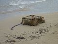 Nr. 4: Kein Lebewesen, aber vielleicht ist das Rätsel trotzdem hier zu lösen: Eine Reuse? Am Strand von Giulianova lagen etliche von diesen Dingern.