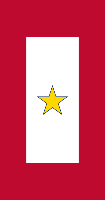 Gold Star Service Banner