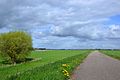 SP 8 Graafschapspad bij Olburgen met links de IJssel