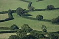 Gjerdehekkar avgrenser jorde i England.