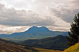 Хикуранги, Восточное побережье, Новая Зеландия, 14-е. Декабрь 2010 г. - Flickr - PhillipC (1) .jpg