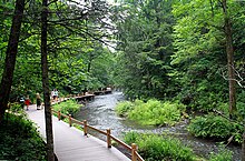 The Longwanqun National Forest Park is a nationally protected nature area in Huinan County, Jilin, China. Longwanqun national forest park creek 2011 07 25.jpg