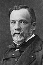 Pienoiskuva sivulle Louis Pasteur