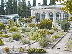 El Jardín de plantas y la "Orangerie"