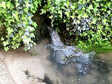 Photographie en couleurs d'un petit ruisseau débouchant à l'air libre après un parcours souterrain.