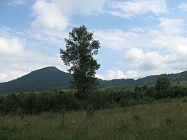 არჯასარის ხედი