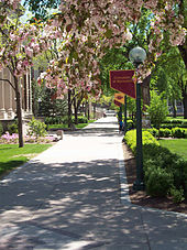 The eastern edge of the Northrop Mall, Spring 2008 Northrupmall.jpg