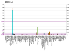 PBB GE KCNH2 205262 at fs.png