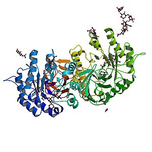 PBB протеин GLA image.jpg