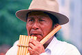 Image 13An Indigenous man playing a panpipe, antara, or siku (from Indigenous peoples of the Americas)