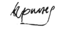 Irinej's signature