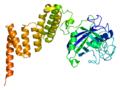 Vignette pour Cyclophiline D