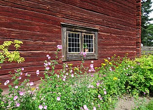 Mangårdens fönster.