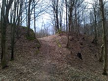 Vue talus en forêt.