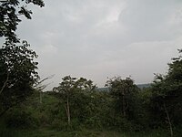Снимок из национального парка Баннергхатта Бангалор 8526.JPG