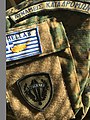 Special Forces unit flash that is emblazoned with ΔΥΝΑΜΕΙΣ ΚΑΤΑΔΡΟΜΩΝ (Raider_Forces)