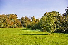 Trent Park, London N14 - geograph.org.uk - 1026201.jpg