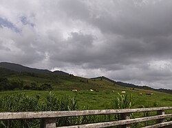 View of El Yunque from PR-984 in Naranjo