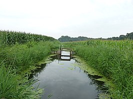 Wambergse Beek