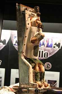 Able, who flew on the first two monkey space mission in May 1959, on display at the National Air and Space Museum Able air and space.jpg