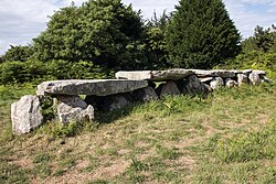 Image illustrative de l’article Allée couverte et menhir de Prajou-Menhir