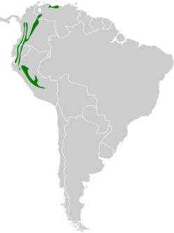 Distribución geográfica de la tangara aliazul (excluyendo A. s. flavinucha)