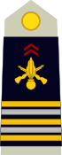 Teniente coronel