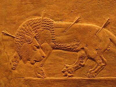 Escena de caça del lleó. Palau d'Assurbanipal a Nínive. Museu Britànic