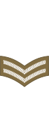 Британская армия (1920-1953) OR-3.svg