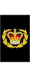 British Royal Navy OR-8.svg