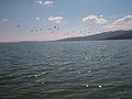 Buško jezero
