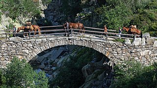 Grimselsaumweg, Bögelisbrüggli zwischen Handegg und Räterichsbodensee