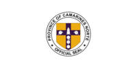 Camarines Norte Government Flag.png