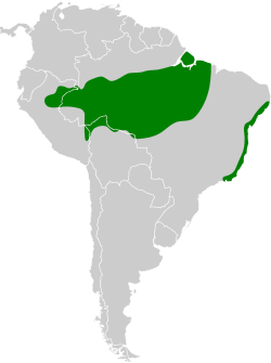 Distribución geográfica del saltarín cabecirrojo sureño.