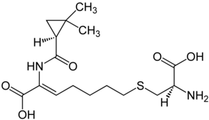 Strukturformel von Cilastatin