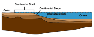 Profile of the continental shelf, illustrating the shelf, slope and rise Continental shelf.png